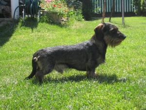 img_6031.jpg